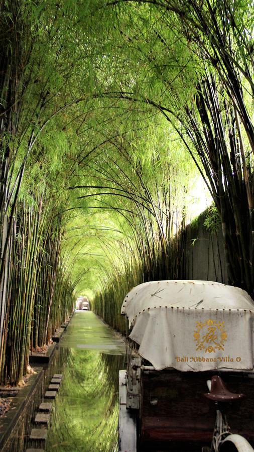 The Nibbana Villas Σεμινιάκ Εξωτερικό φωτογραφία